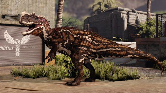 Altus Cerato Mutation