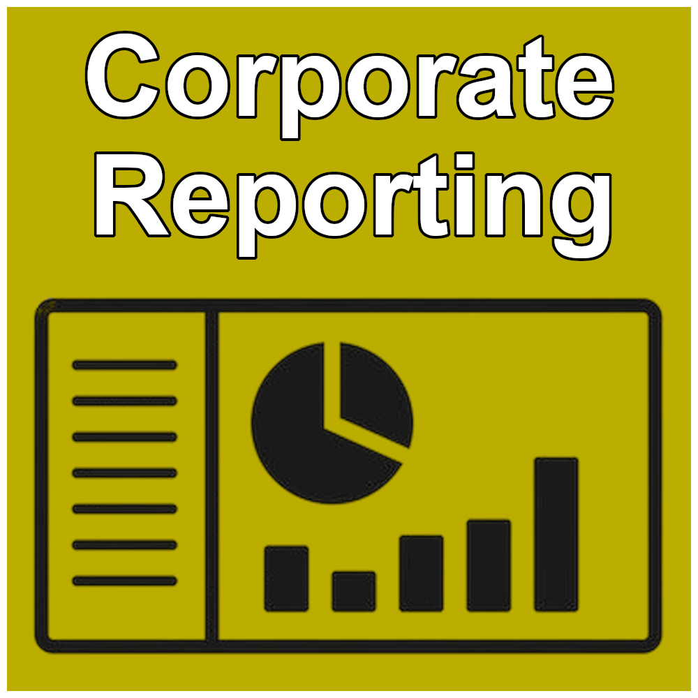 Airport CEO Corporate Reporting