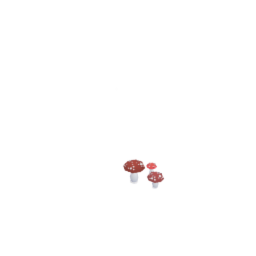 Realistic Mushrooms