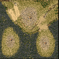 Marshy Forest
