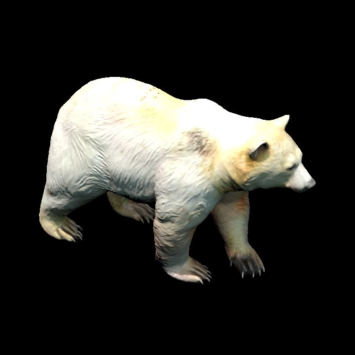 Joey aka Spirit Bear