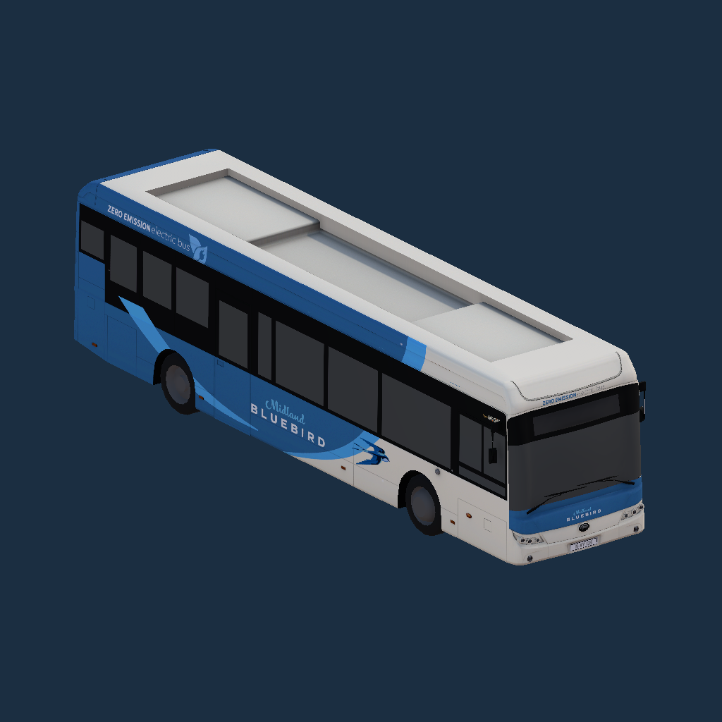 Midland Bluebird  - E12