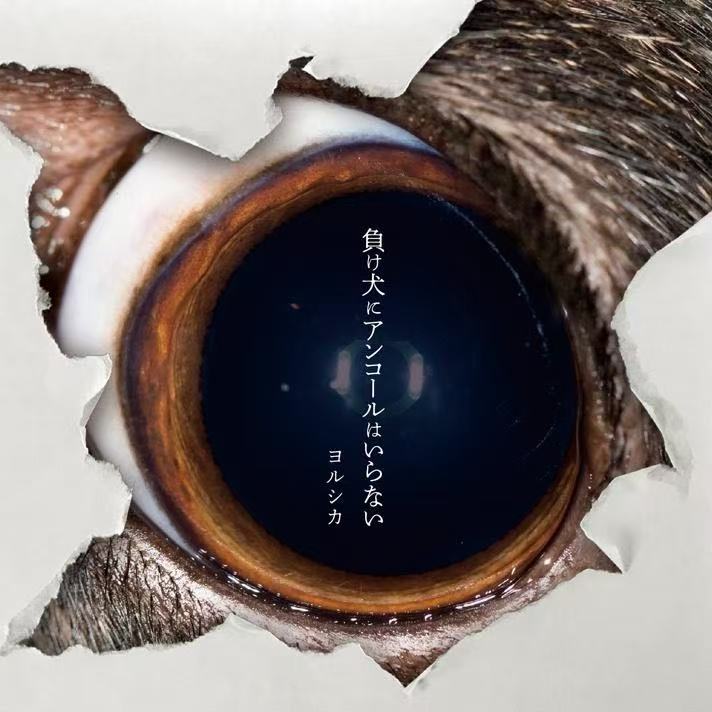 ヒッチコック希区柯克 Hitchcock