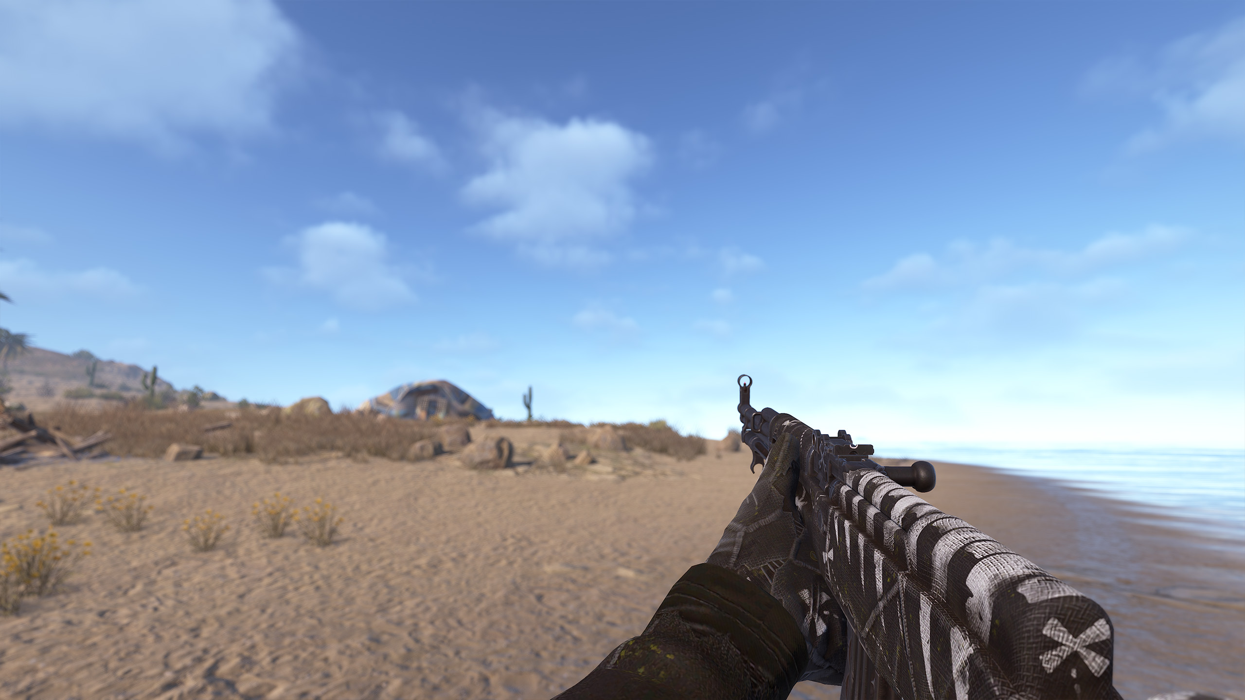 Pirate SKS thumbnail 5