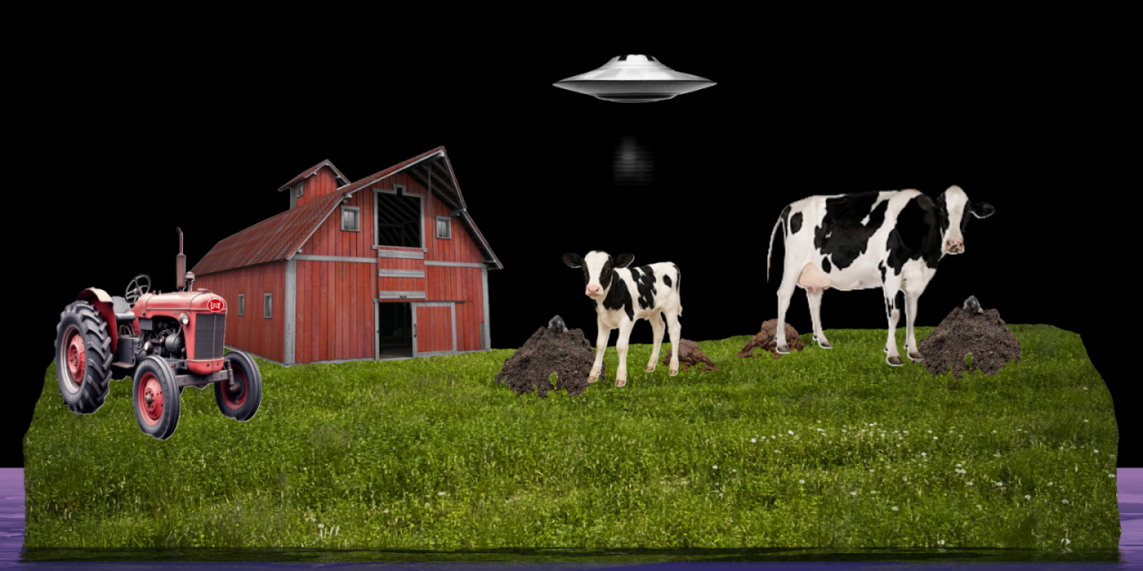 Granxa de vacas