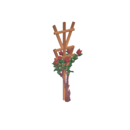 Rose bush 1/3 sprouted