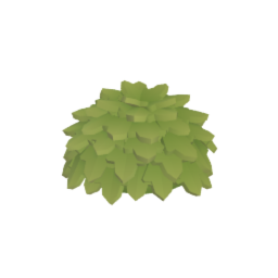 Plant / Bush