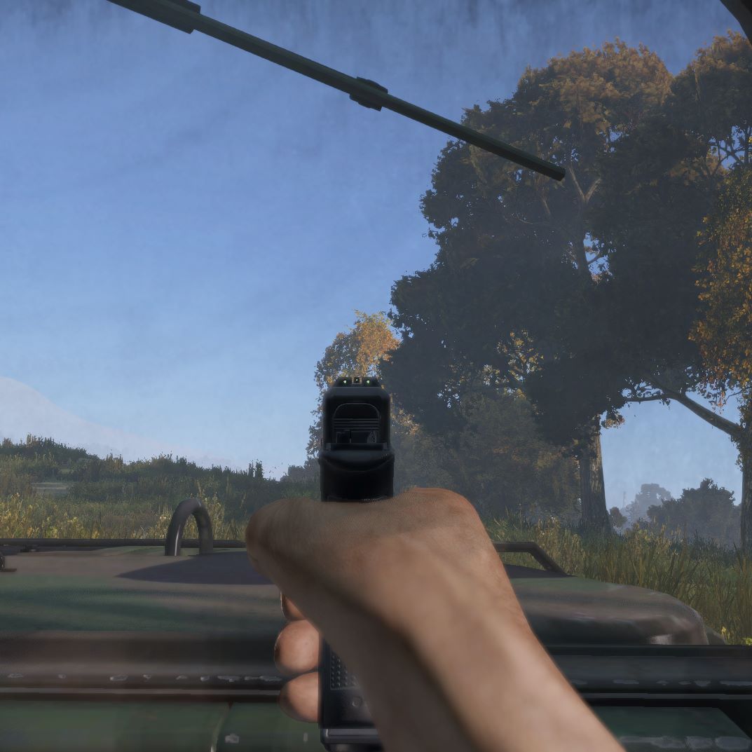 Vehicle Shooting
