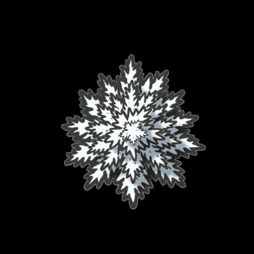 Fir Tree C