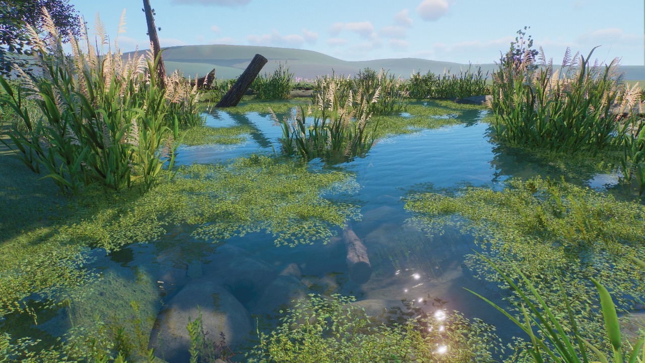 Natural Pond 6