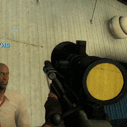 "Working" Weapons Scopes