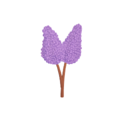 Lilacs