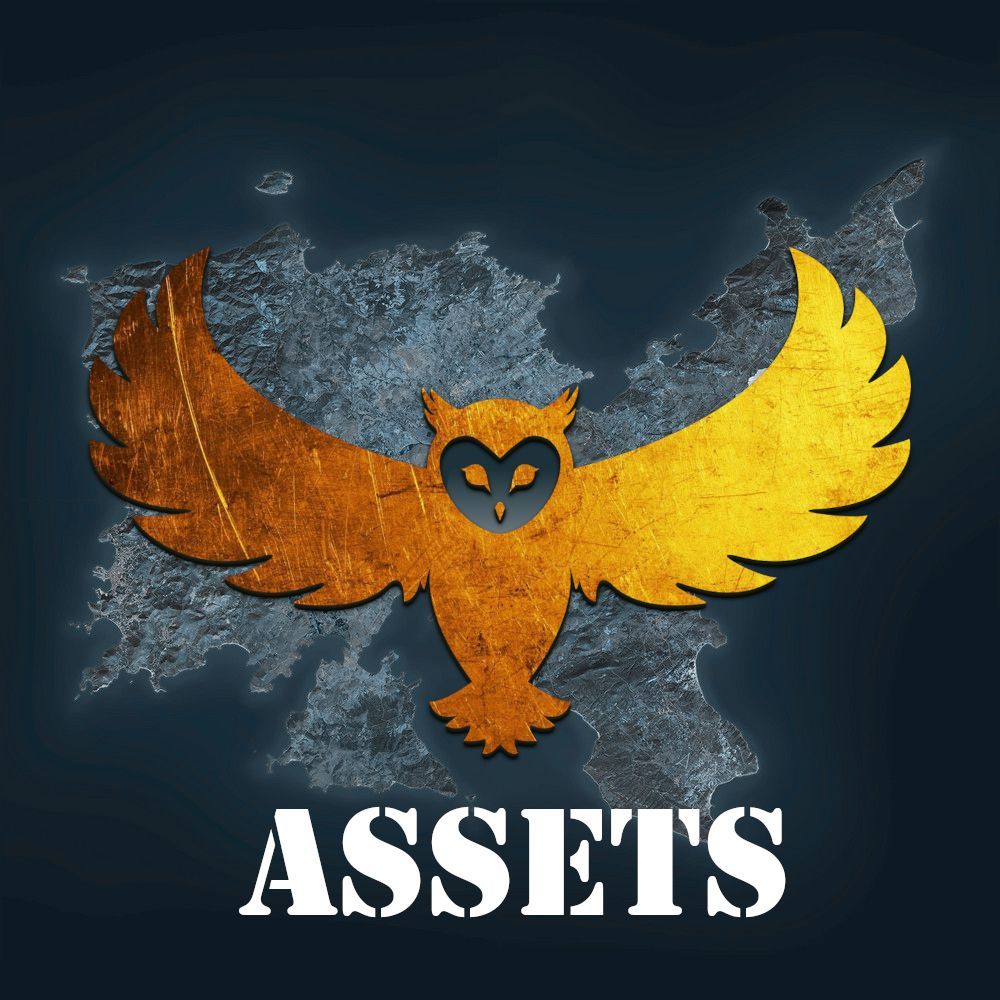 CNTO Assets