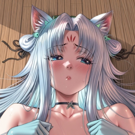 兽娘透视
