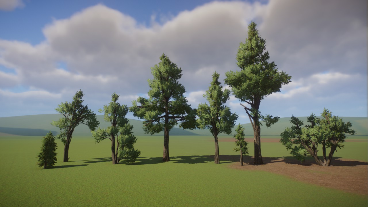 Conifer Tree Mix
