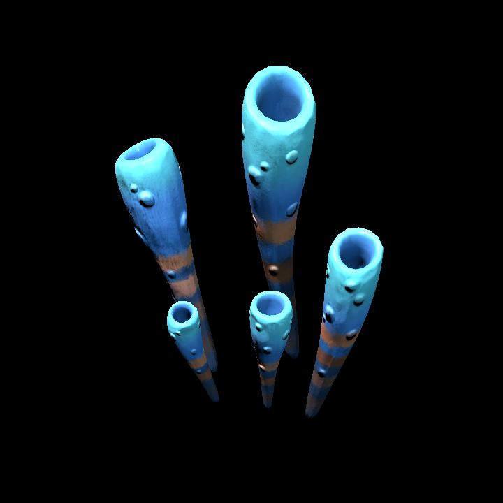 DA_Coral_7