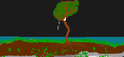My SandBox