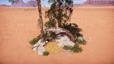Scrubland paleo cluster