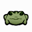 Frog - Continued