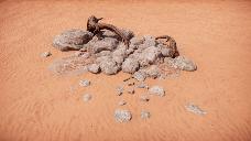 Rocky Nest
