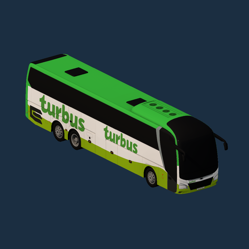 Turbus Lions Coach
