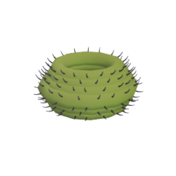Cactus planter