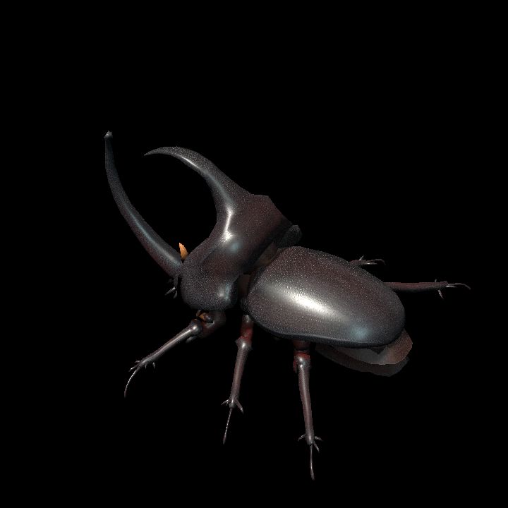 Horned Hercules 2