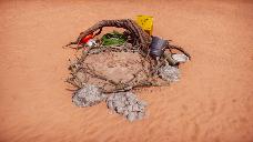Debris nest