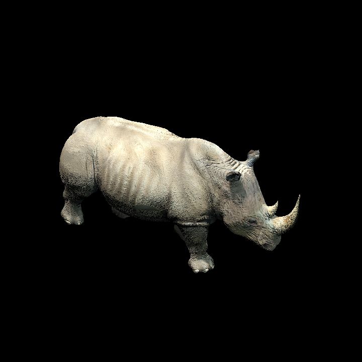 Creature, Animal, Rhino 1