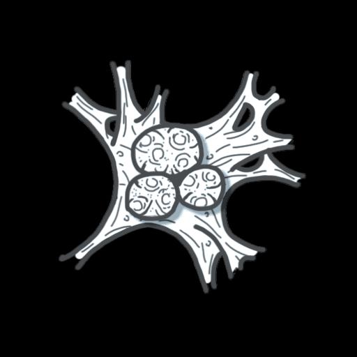 Spores - Eggs With Tissue preview