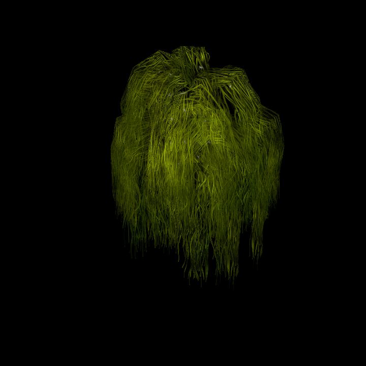 SwampTussockWall_12