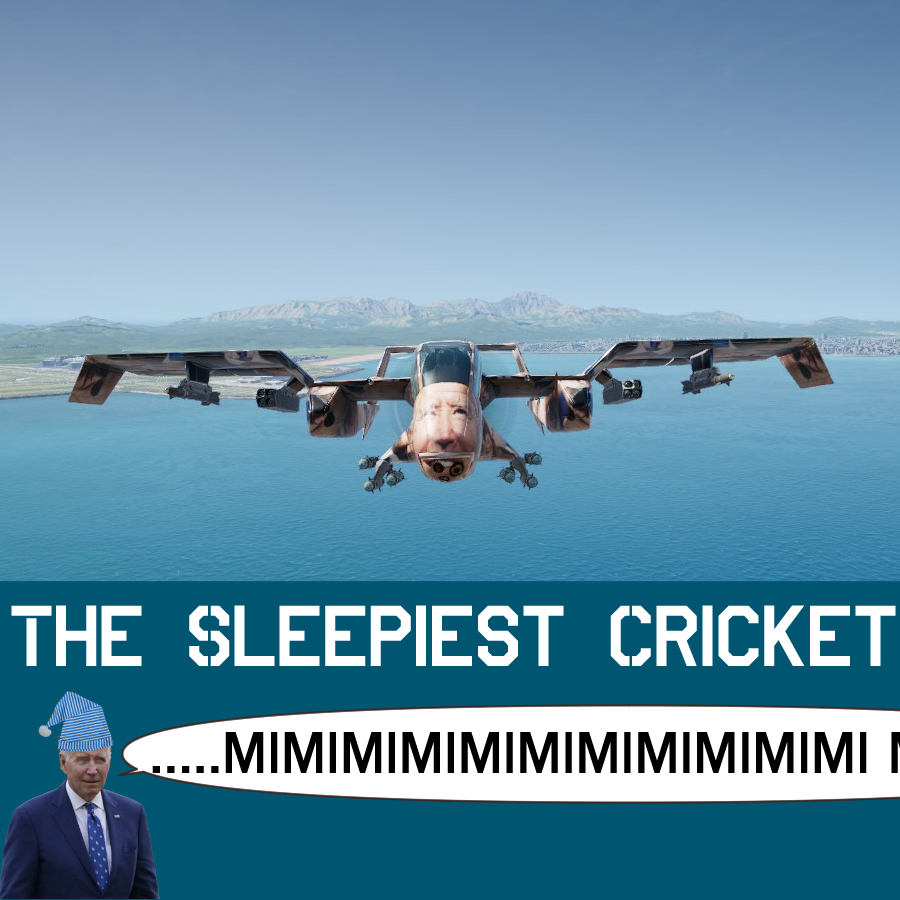 The Sleepiest Cricket