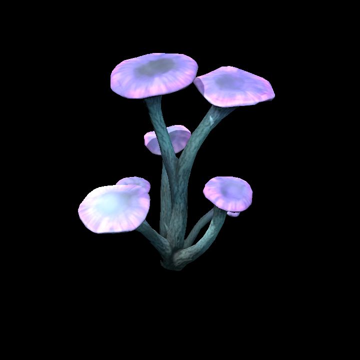 Mushroom_22
