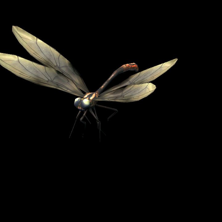 Dragoonfly Hover