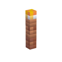 starter pack-torch