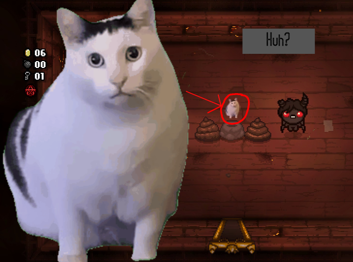Huh Cat as Question Marks