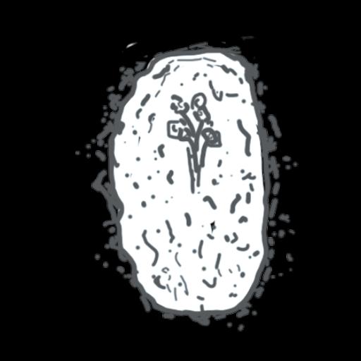 Grave 2