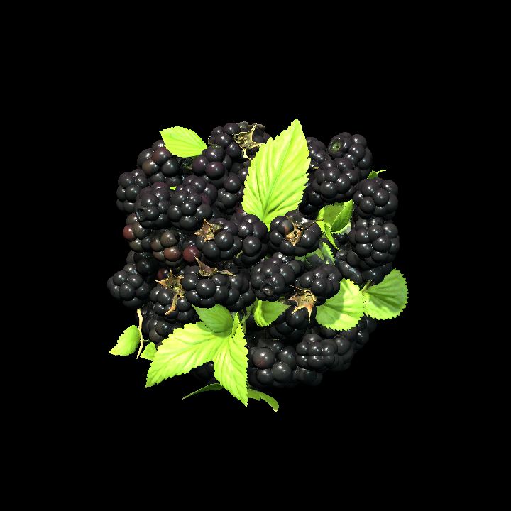 blackberry bowlful