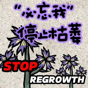 Forget-Me-Lots No Regrowth – Don't Starve Together Mod