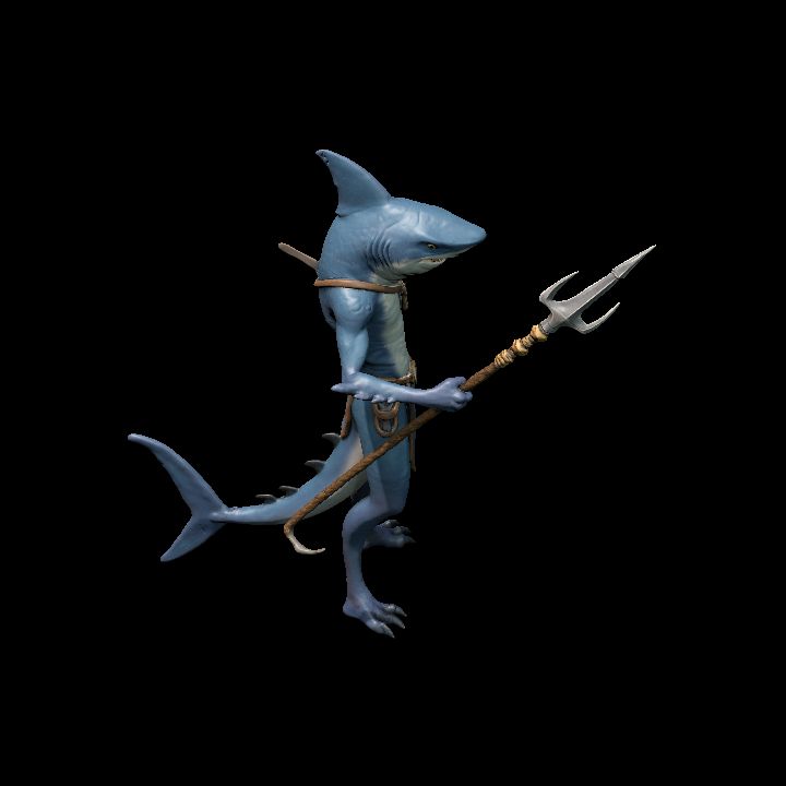 Shark Warrior Agile 2