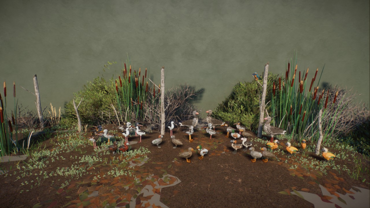 Rick's European Wetlands Birds preview