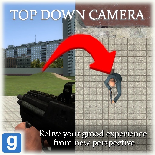 Top Down camera