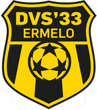 DVS '33 990 Milhoes euros sem dividas