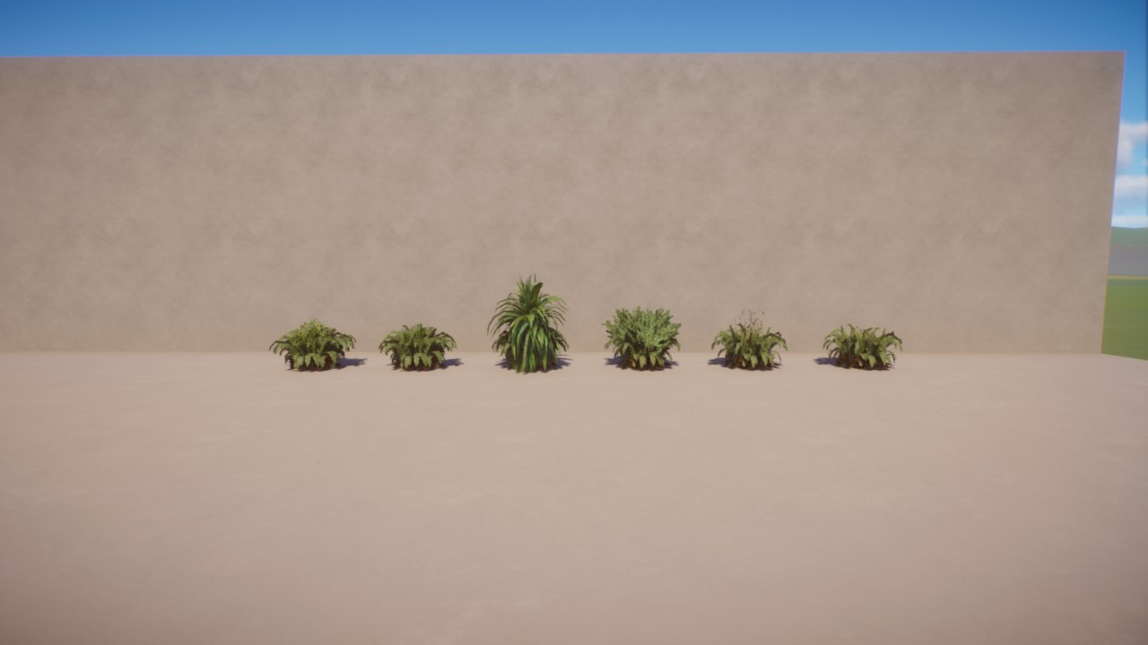 some decoration plants