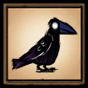 笼中鸟不会死Birds – Don't Starve Together Mod