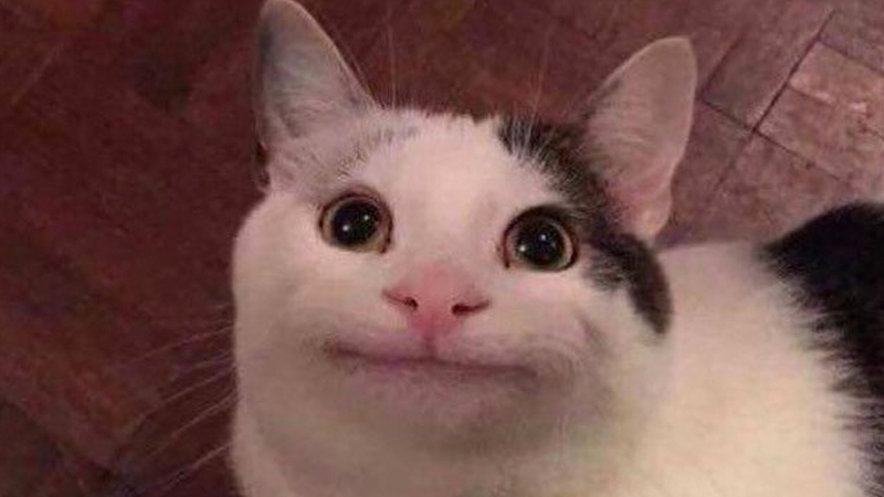 ,