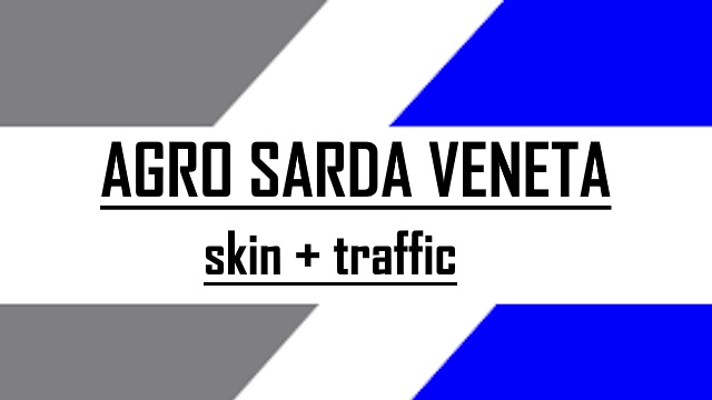 skin ASV LOGISTICA blu