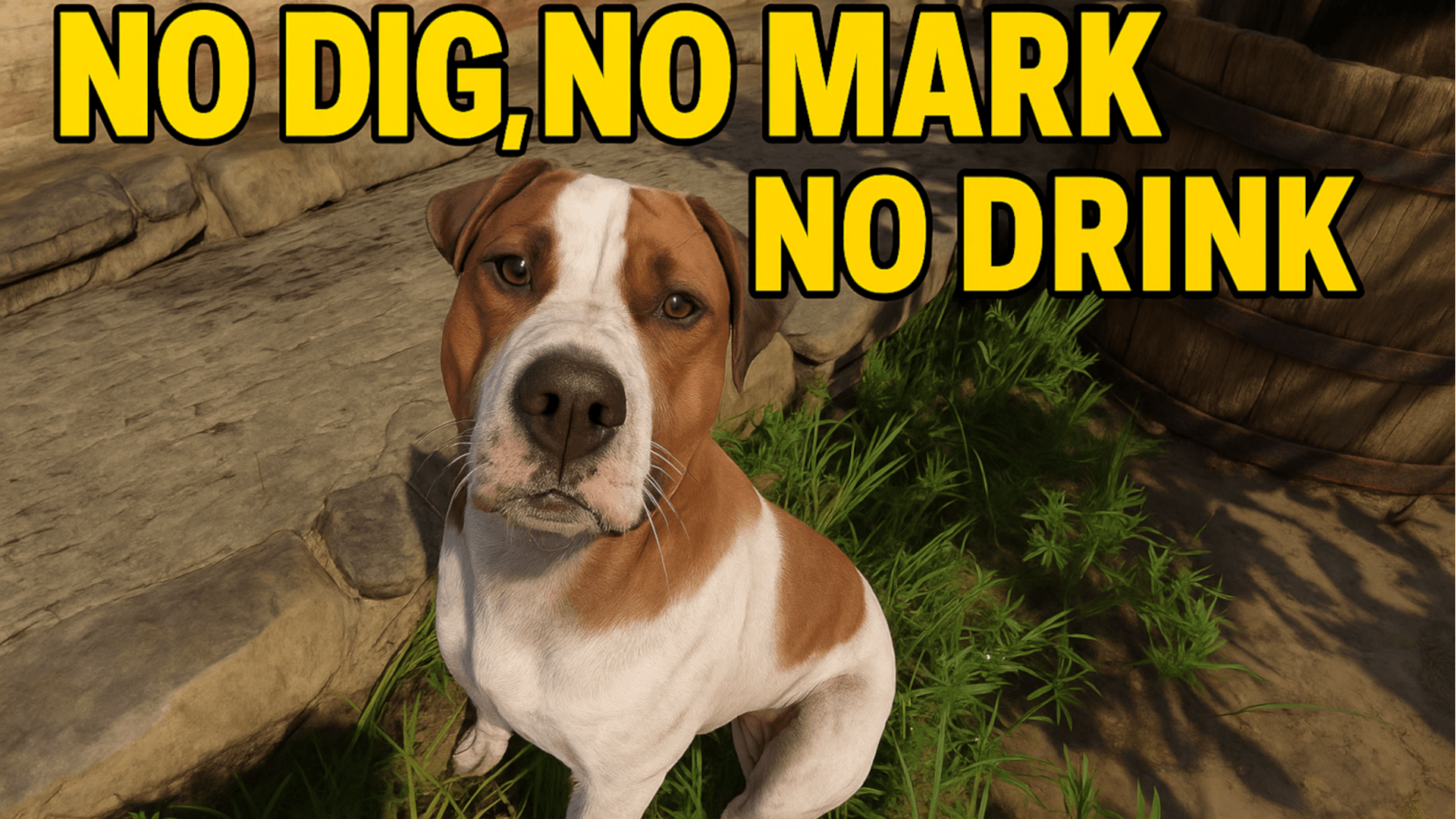 No Dig - No Mark - No Drink