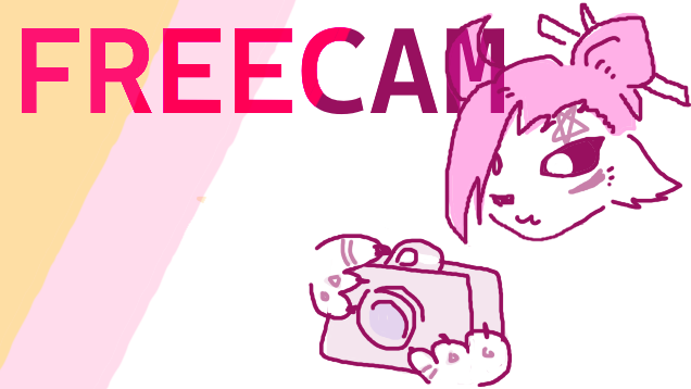 Freecam & Hide UI
