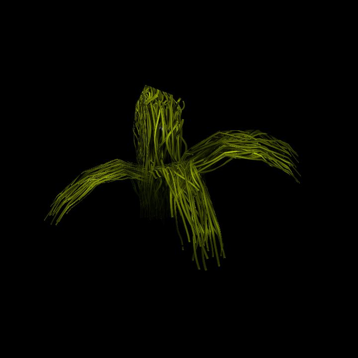 SwampTussocksSmallE_1